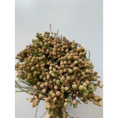 Brunia Spray - Natural 