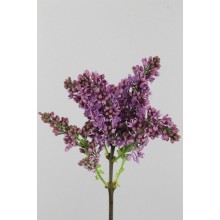 Lilac Soft Violet