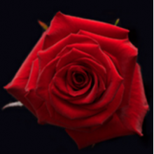 Monte Carlo 2 Monte Carlo 2