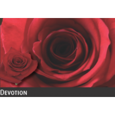 Devotion 