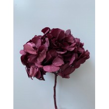 Preserved Hydrangea - Purple15cm 