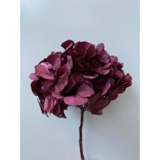 Preserved Hydrangea - Purple15cm 