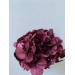 Preserved Hydrangea - Purple15cm 