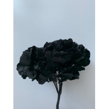 Preserved Hydrangea - Black 20cm 
