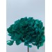 Preserved Hydrangea - Emarald Green 20cm 