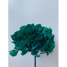 Preserved Hydrangea - Emarald Green 20cm Preserved Hydrangea - Emarald Green 20cm
