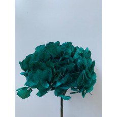 Preserved Hydrangea - Emarald Green 20cm 