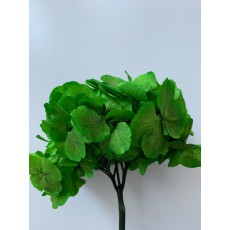 Preserved Hydrangea - Bright Green 15cm 