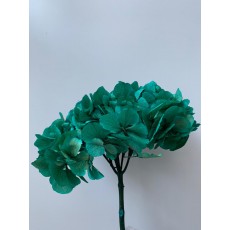 Preserved Hydrangea - Turquoise 15cm 