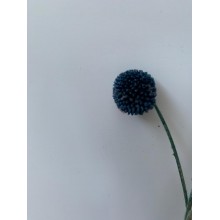 Dried Craspedia - Coloured Blue